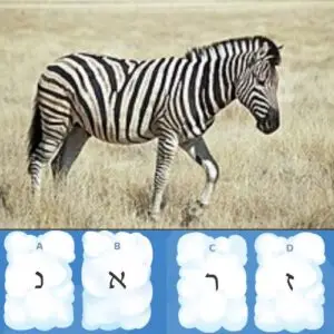 מודעות פונולוגית - ד"ר יפית מורדוף